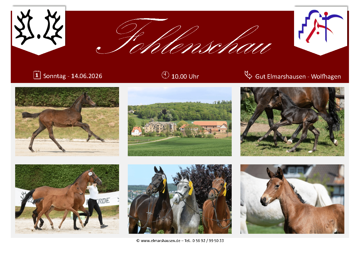 Fohlenschau Flyer Muster V-002