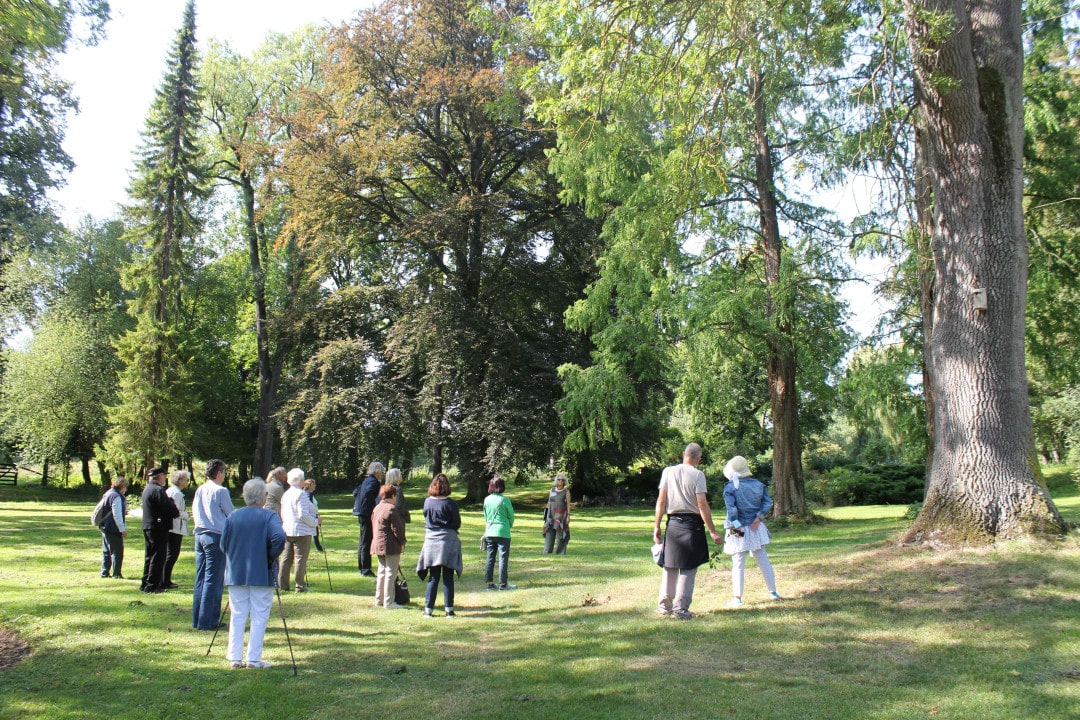 2020_09_13--führun-bäume-ccby-n-p-h--j-schüßler (1)