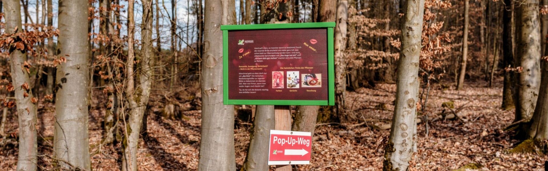 2026-03 Pop-Up-Weg_L'amour in der Natur_Wolfhage_Vistitnordhessen_ccby Naturpark Habichtswald (1)